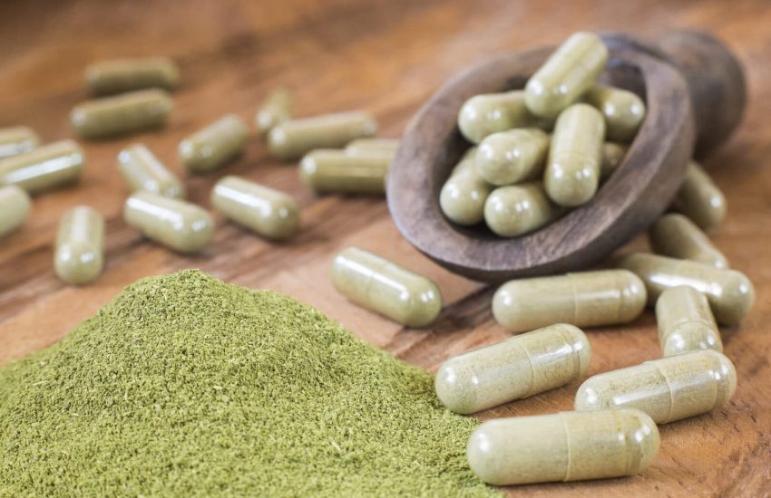 Roots and Revelations The Untold Stories Behind Kratom’s Popularity Surge